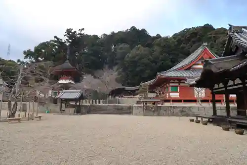 金剛寺のその他建物