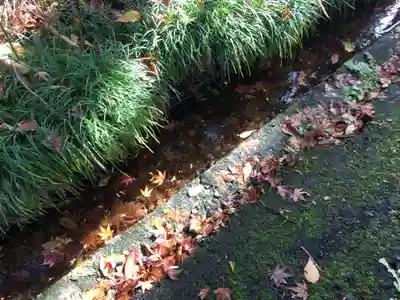 大前神社の周辺