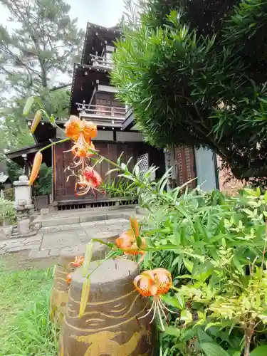 観音寺（世田谷山観音寺）の末社・摂社