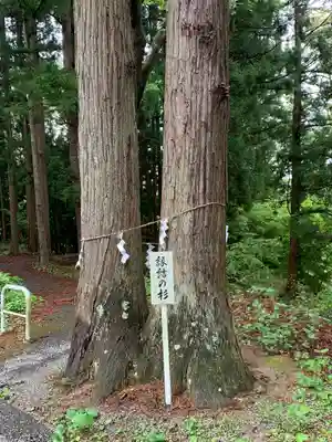 鹽竃神社の自然