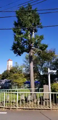 庚申神社(千葉県)