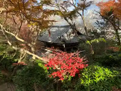 観音寺（山崎聖天）(京都府)
