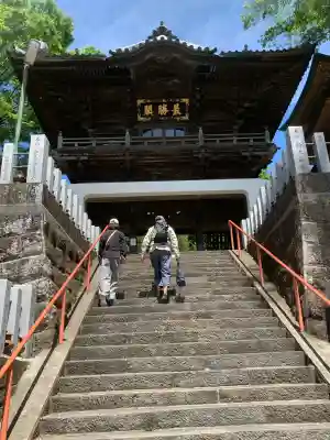 布施弁天 東海寺の{uncategorized: "未分類", other: "その他", undefined: "問題あり", building: "その他建物", grave: "お墓", sacred_gate: "鳥居", guardian: "狛犬", statue: "像", buddha: "仏像", history: "歴史", nature: "自然", garden: "庭園", animal: "動物", pagoda: "塔", temizu: "手水舎", mountain_gate: "山門・神門", sanctuary: "本殿・本堂", subordinate: "末社・摂社", art: "芸術", scenery: "景色", jizo: "地蔵", ema: "絵馬", goshuin: "御朱印", omikuji: "おみくじ", items: "授与品その他", amulet: "お守り", goshuincho: "御朱印帳", eats: "食事", festival: "お祭り", votive_dance: "神楽", shichigosan: "七五三参", wedding: "結婚式", experience: "体験その他", initially: "初詣", around: "周辺", anti_infection: "感染症対策"}
