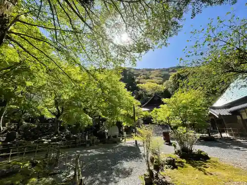 聖寳寺の庭園