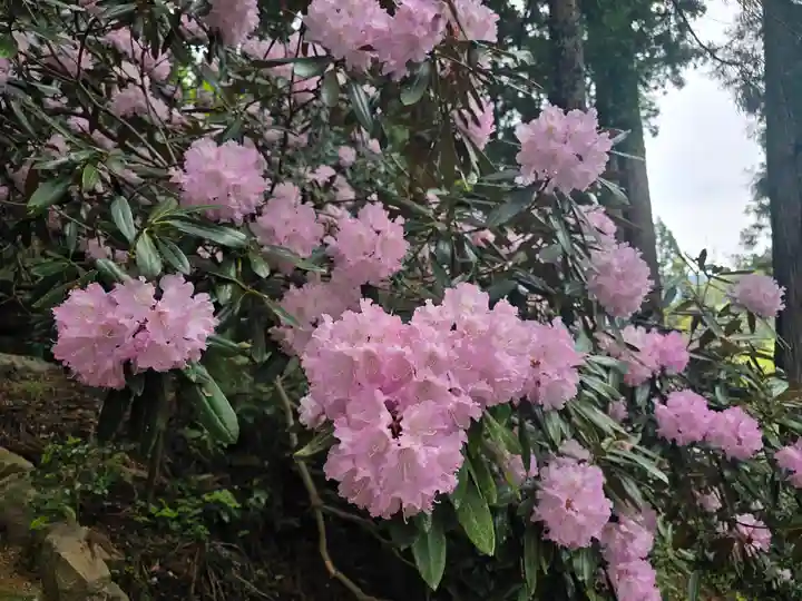 室生寺奥の院(奈良県)