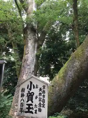 白峯神宮の歴史