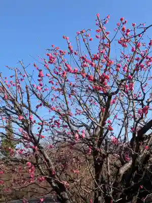 福蔵院(東京都)