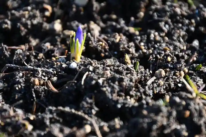 宝光寺(北海道)