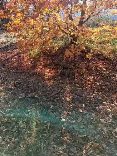 芝山神社の自然