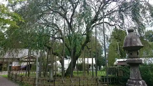 足羽神社の庭園