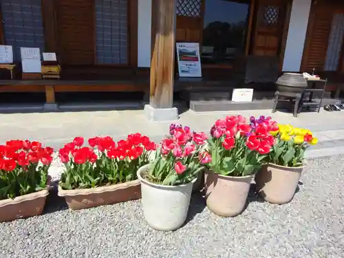 泉蔵寺のその他建物