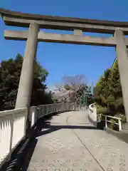 赤羽八幡神社の鳥居