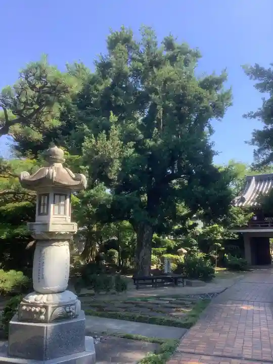 大永寺のその他建物