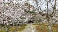 勧修寺(京都府)