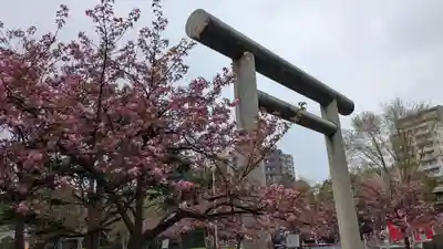 札幌護國神社の鳥居