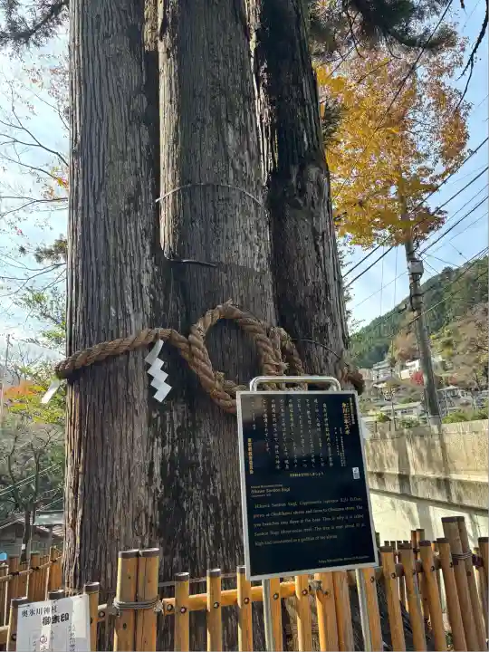 奥氷川神社(東京都)