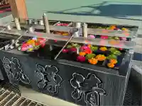 成田山深川不動堂(新勝寺東京別院)(東京都)