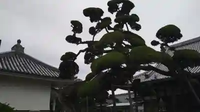西法寺(大阪府)