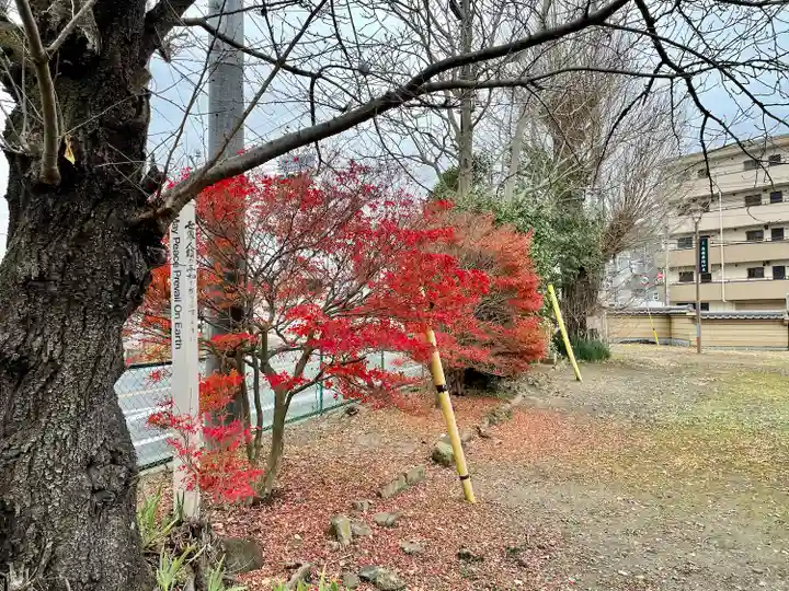 薬師堂(茨城県)