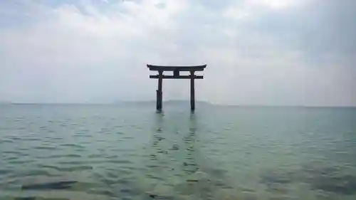 白鬚神社の鳥居