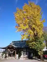 小浜神社の本殿