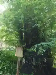 貴船神社結社(京都府)