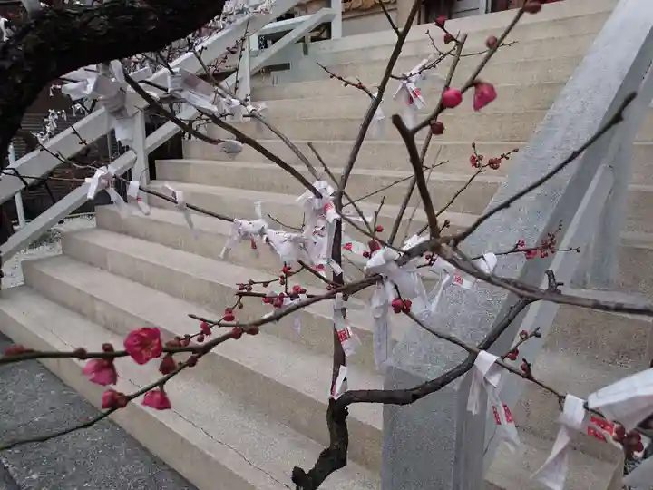 静岡天満宮の自然