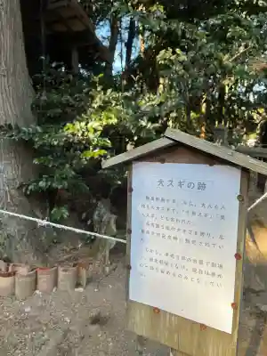 本宮八幡神社の{uncategorized: "未分類", other: "その他", undefined: "問題あり", building: "その他建物", grave: "お墓", sacred_gate: "鳥居", guardian: "狛犬", statue: "像", buddha: "仏像", history: "歴史", nature: "自然", garden: "庭園", animal: "動物", pagoda: "塔", temizu: "手水舎", mountain_gate: "山門・神門", sanctuary: "本殿・本堂", subordinate: "末社・摂社", art: "芸術", scenery: "景色", jizo: "地蔵", ema: "絵馬", goshuin: "御朱印", omikuji: "おみくじ", items: "授与品その他", amulet: "お守り", goshuincho: "御朱印帳", eats: "食事", festival: "お祭り", votive_dance: "神楽", shichigosan: "七五三参", wedding: "結婚式", experience: "体験その他", initially: "初詣", around: "周辺", anti_infection: "感染症対策"}
