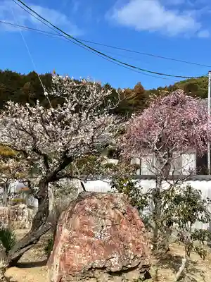 赤岩寺(愛知県)