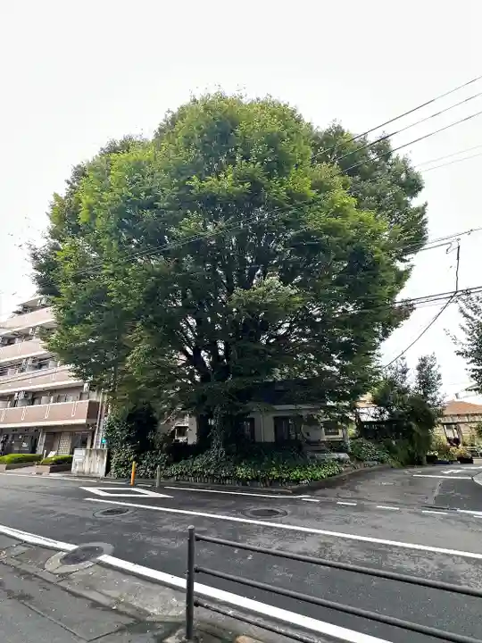 小野神社(東京都)