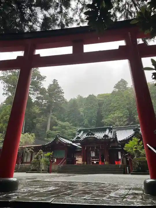 箱根神社(神奈川県)