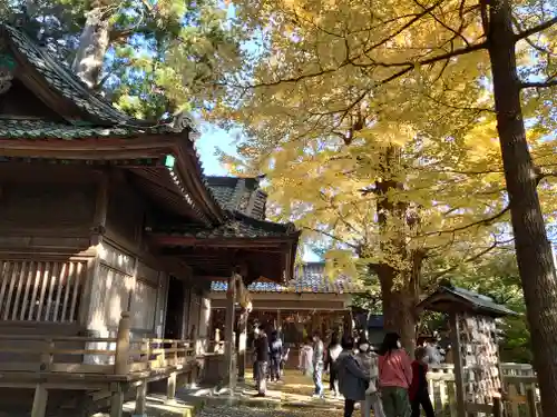 事任八幡宮の建物その他