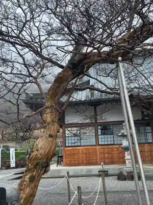 明鏡山龍雲寺(栃木県)
