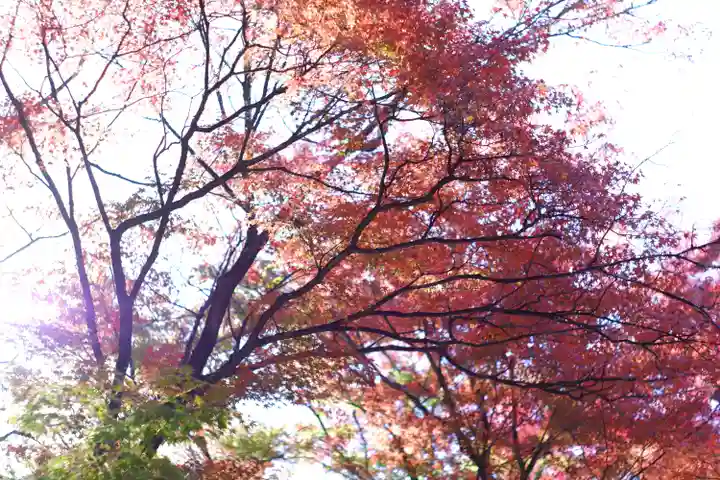 禅林寺(永観堂)(京都府)