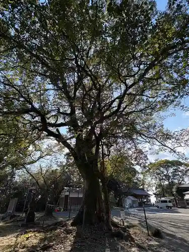 千栗八幡宮(佐賀県)