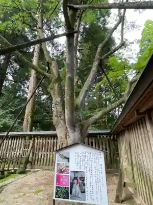 天岩戸神社(宮崎県)