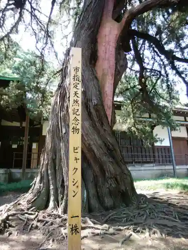 円覚寺(神奈川県)