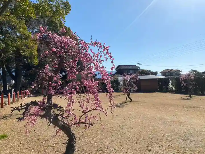 美奈宜神社(福岡県)