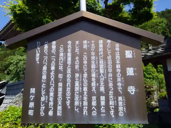 聖蓮寺(岐阜県)