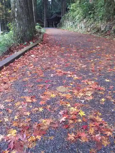 根道神社の建物その他