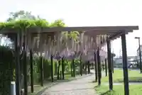 松尾神社(京都府)