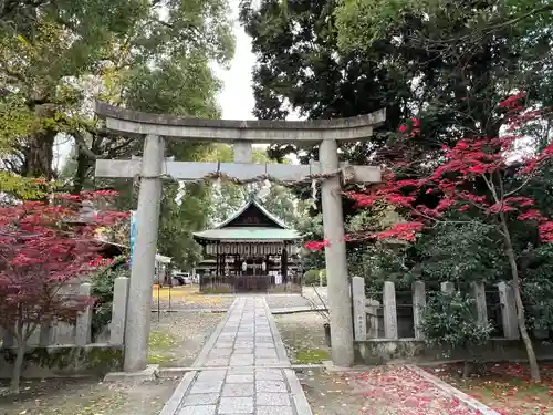 田中神社(京都府)