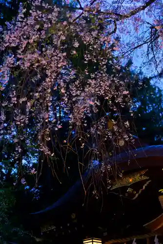 子安神社(東京都)