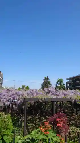 相馬神社の自然