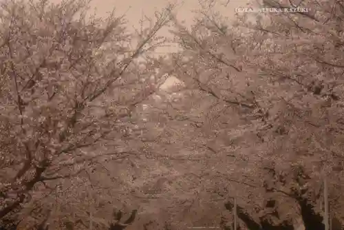 寛永寺(根本中堂)(東京都)