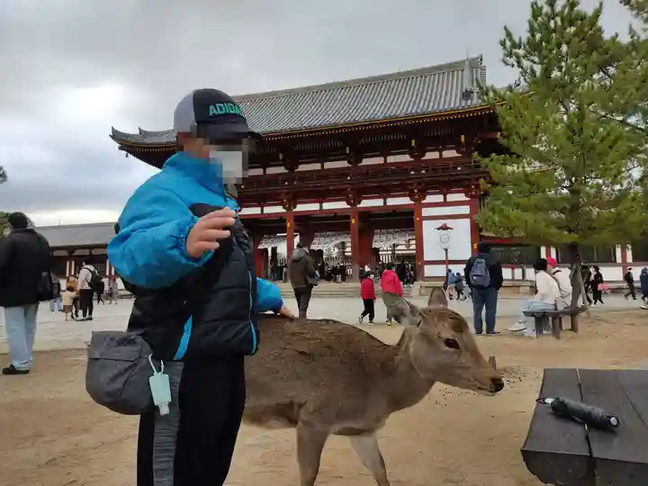 東大寺の山門・神門