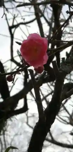 大生郷天満宮の自然