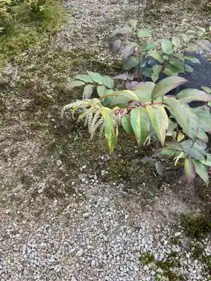 吉祥寺(岐阜県)