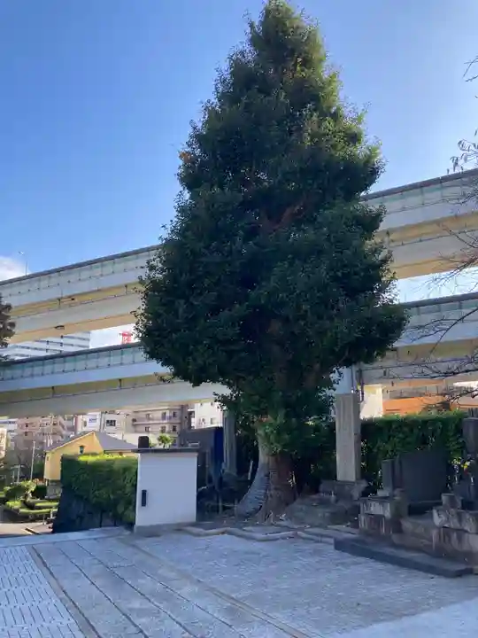 勧行寺(神奈川県)