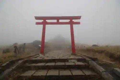 箱根元宮の鳥居